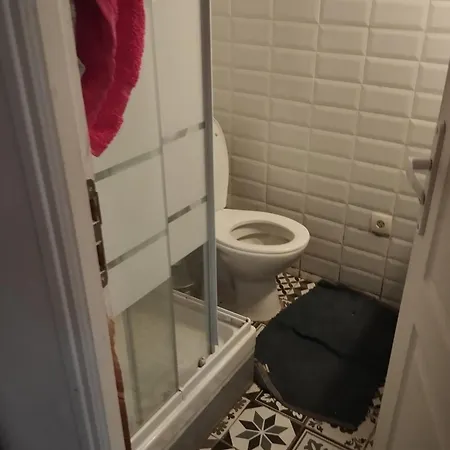Un Souplex A Proximite De Paris Dans Un Coin Tranquille * Houilles